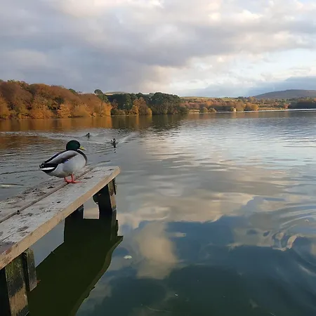 West View Castle Carrock
